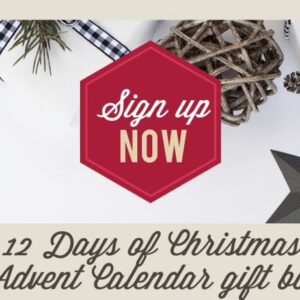 12 Days of Christmas Advent Calendar *Pre-order*