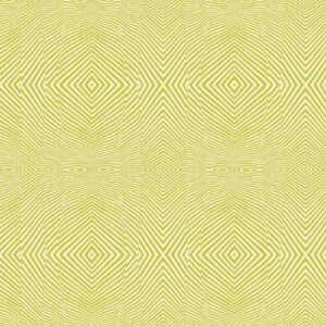 Tula Pink Moon Garden Lazy Stripe Dawn PWTP022-Dawn