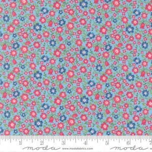 Cat Named Stitch Lucky Small Floral Sky 55342-12