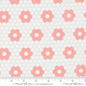 Cat Named Stitch Hexagons Cream Blush 55343-11